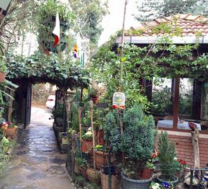 Polina House Polonezkoy Istanbul